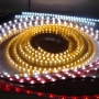 Fabricante profesional de iluminación LED de China (LED lámpara, leds)