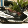 MOTO majesty 2008 bera 250cc con placa tremenda ganga!!!