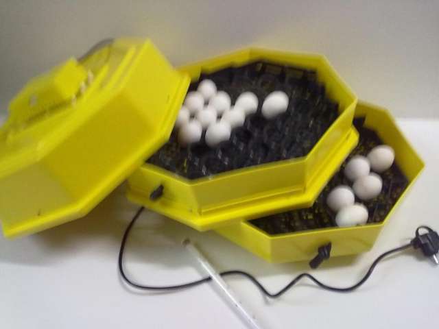 Incubadora de 82 huevos no son caseras